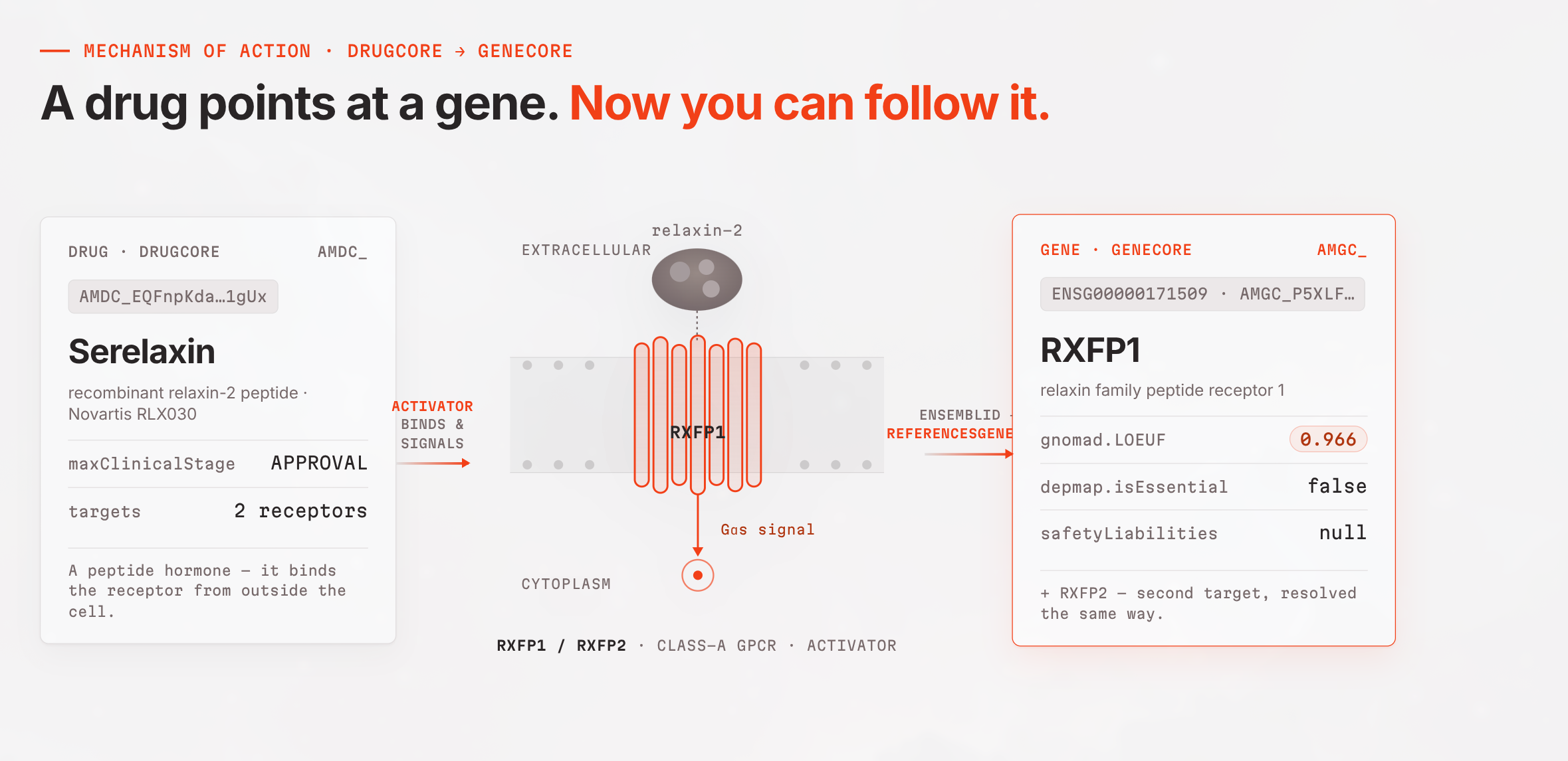 Introducing GeneCore: One Link From a Drug to Its Target Biology